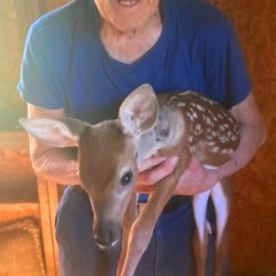 Donald Patrick Cote