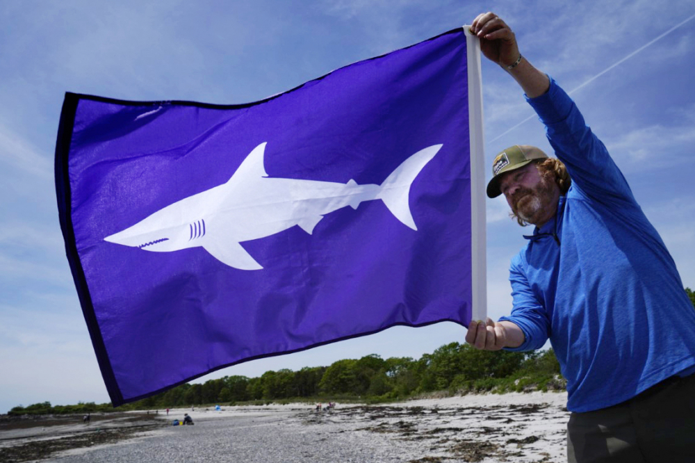 Shark_Warning_Flag_31420