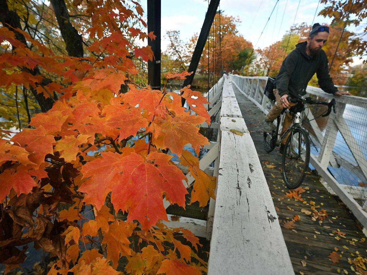 Halloween events, foliage and school sports wrap up Week in Photos