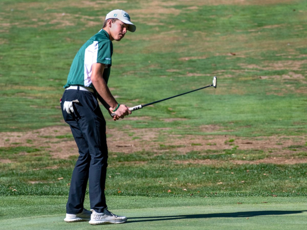 NYA golf wins its first Class C title since 1996