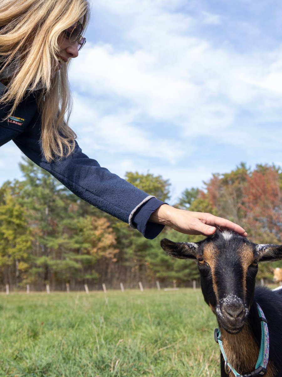 At Unity farm, goats star on Open Creamery Day