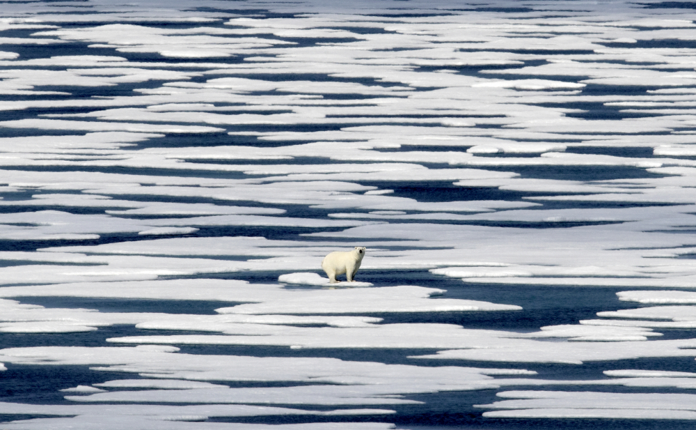 Arctic_Climate_28353