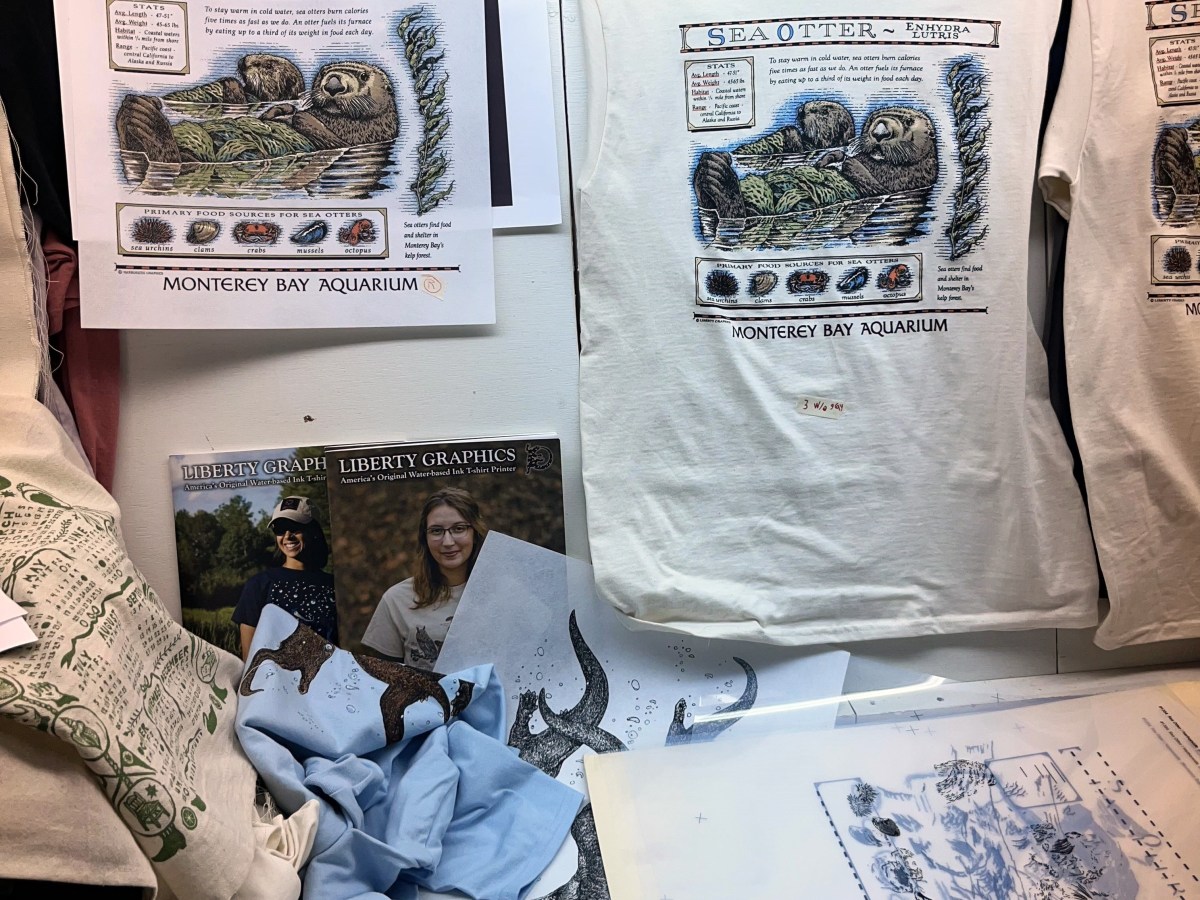 Maine company will reissue otter T-shirt Taylor Swift wore in ‘Showgirl’ film