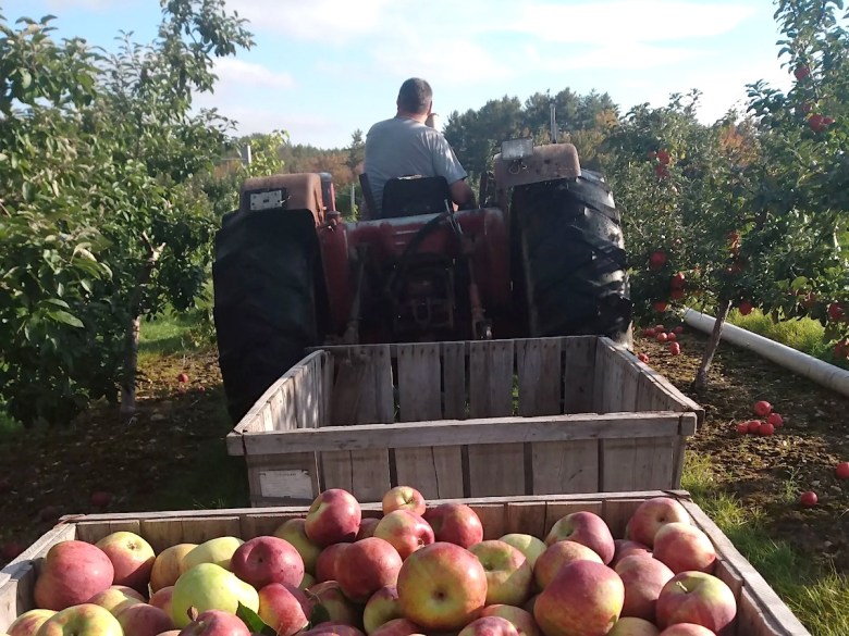 Generations of growth in western Maine farms cultivate community