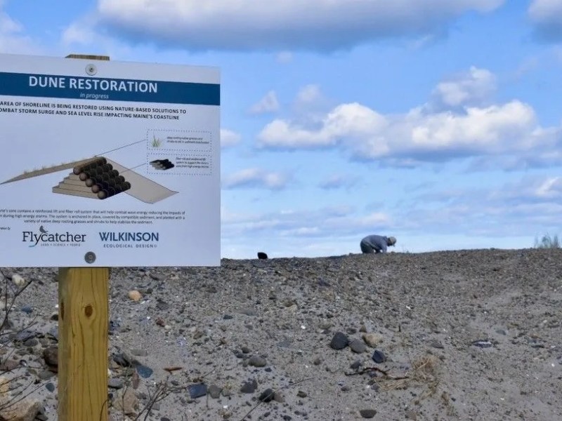 New map brings Maine’s seaweed forests to the surface