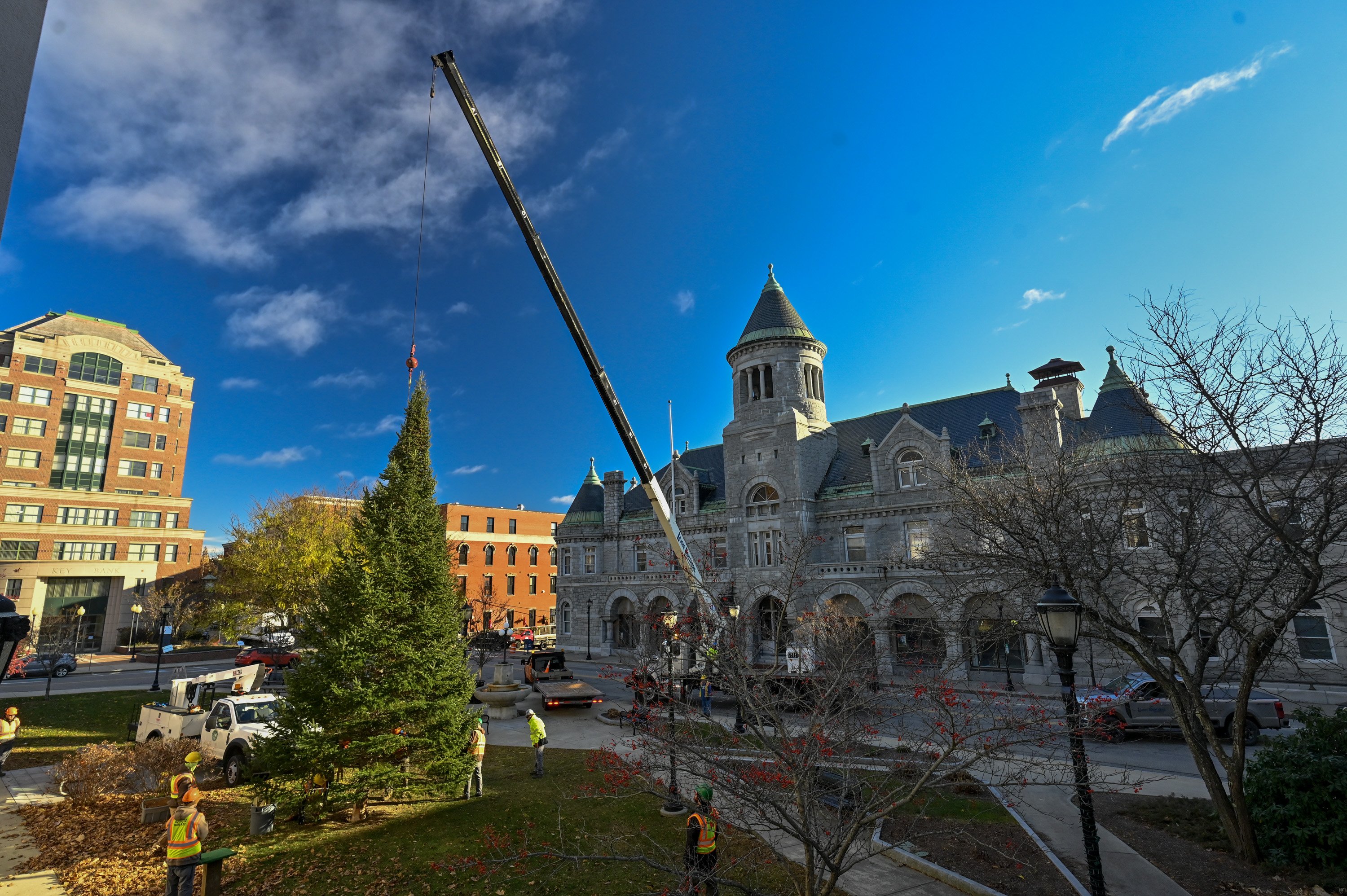 Christmas tree erected in Augusta