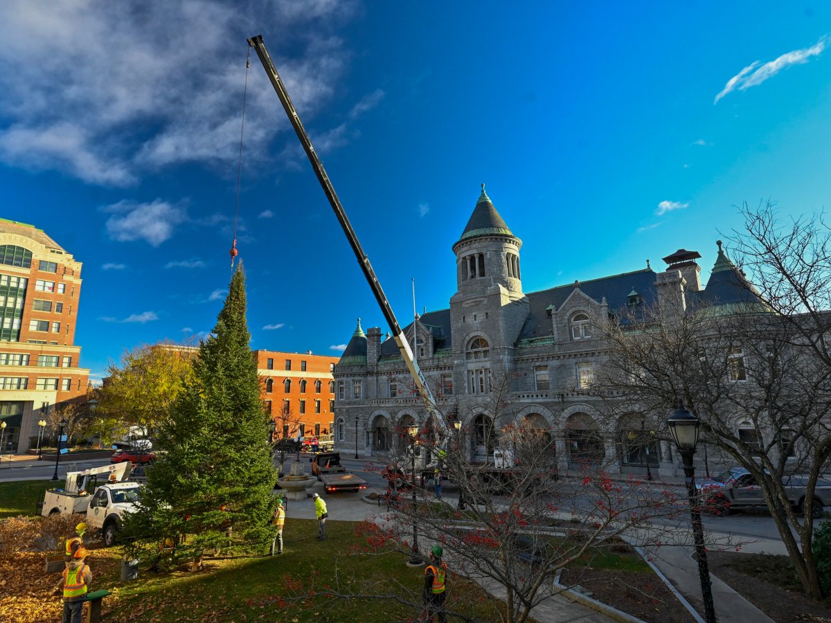 Christmas tree erected in Augusta