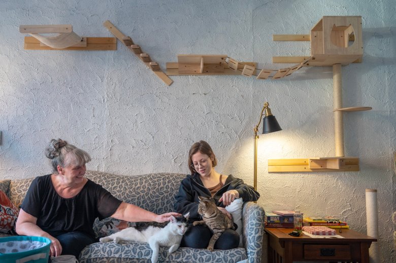 Gardiner cat café offers coffee, cuddles, option to adopt