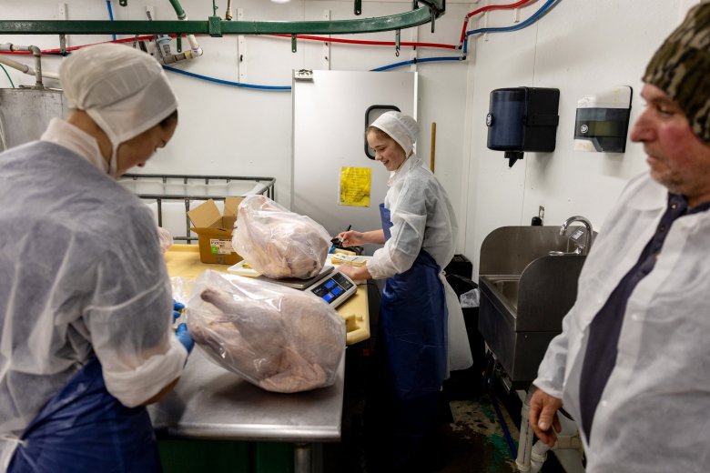 From a Maine turkey farm to Thanksgiving tables