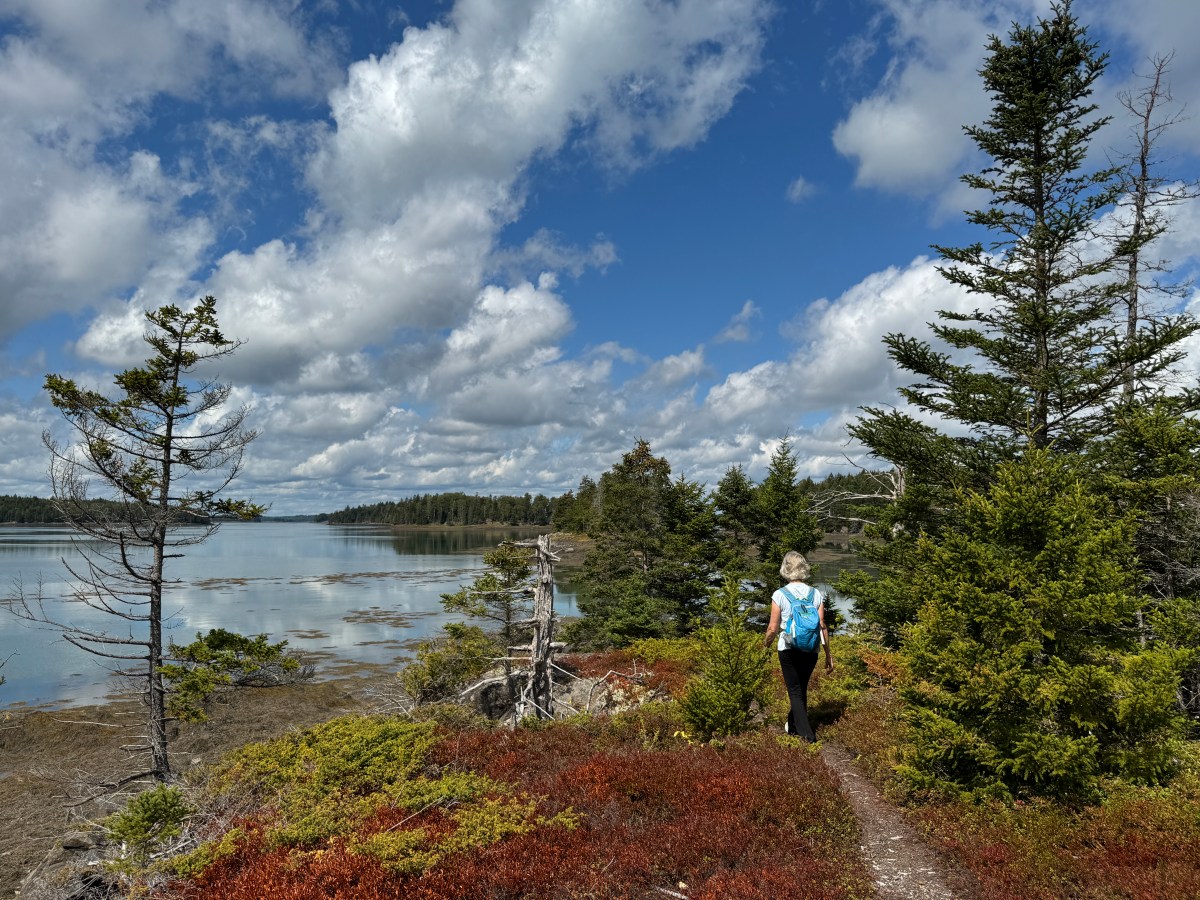 New trail offers longer hike in Cobscook Bay neighborhood