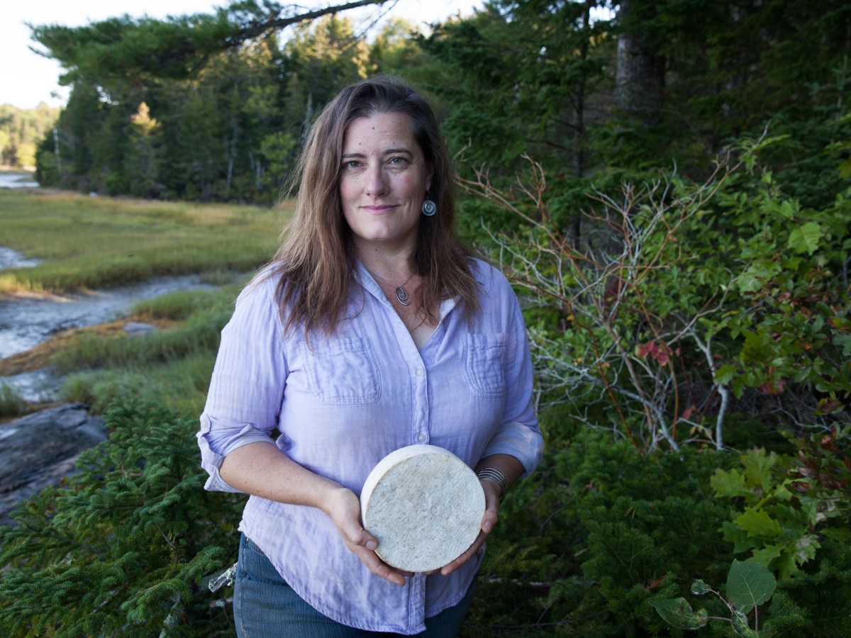 Three Maine cheesemakers win at 2025 World Cheese Awards