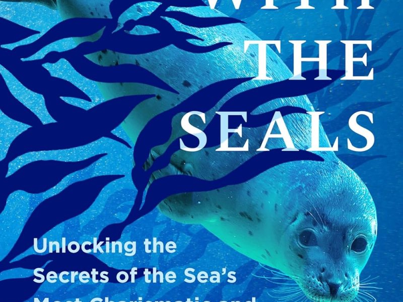 A new book explores conflicts created by the seal population recovery