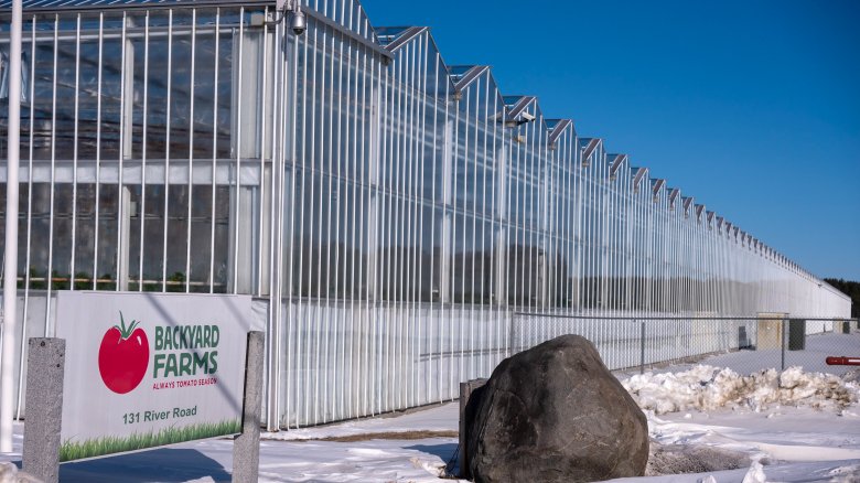 Single mother among those detained in Skowhegan immigration raid