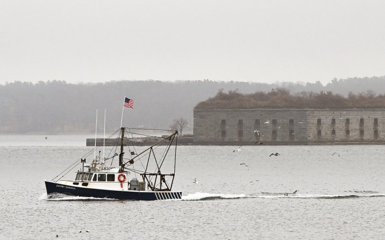 Maine’s lobster haul hits 17-year low