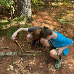 Maine homeschoolers turn farms, forests into living classrooms